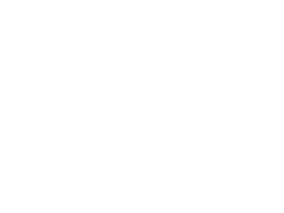 Adidas logo