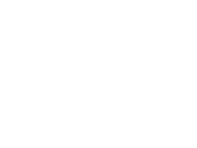 St Michel logo
